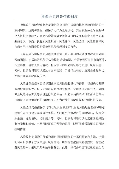 担保公司风险管理制度