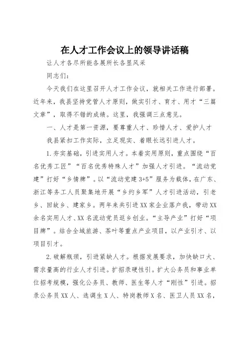 在人才工作会议上的领导讲话稿