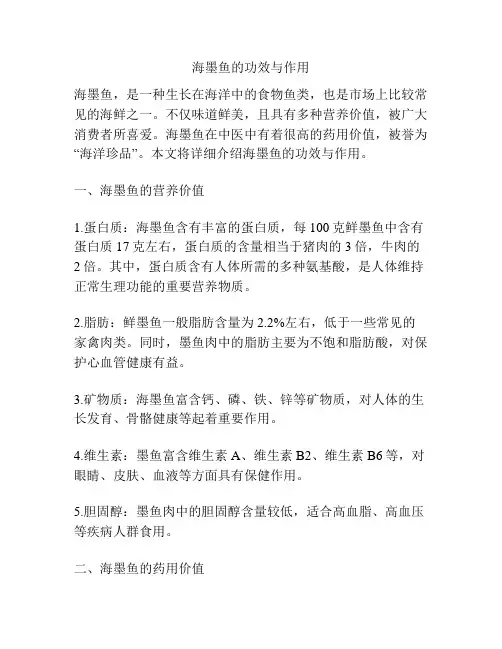 海墨鱼的功效与作用