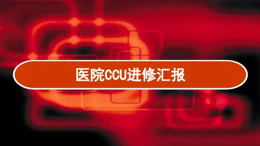 医院进修汇报 PPT