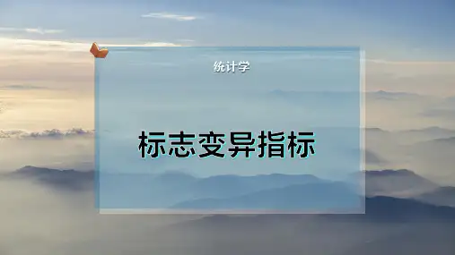 标志变异指标