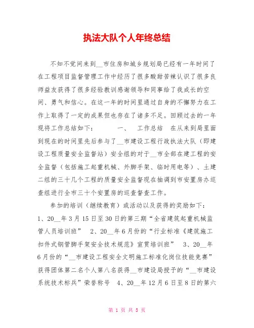 执法大队个人年终总结