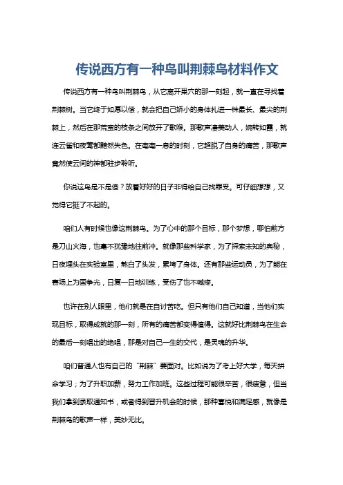 传说西方有一种鸟叫荆棘鸟材料作文