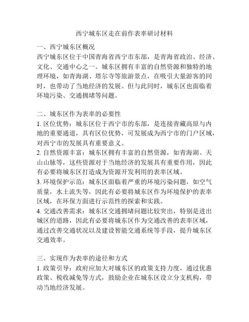 西宁城东区走在前作表率研讨材料