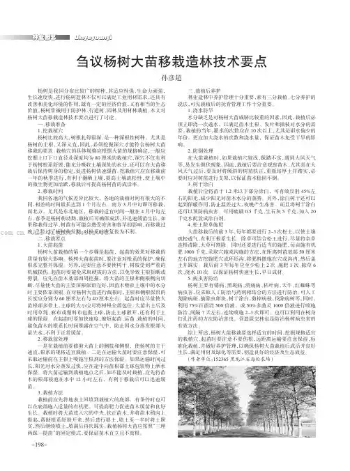 刍议杨树大苗移栽造林技术要点