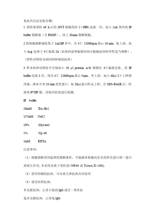 [重点]Co-IP实验步骤