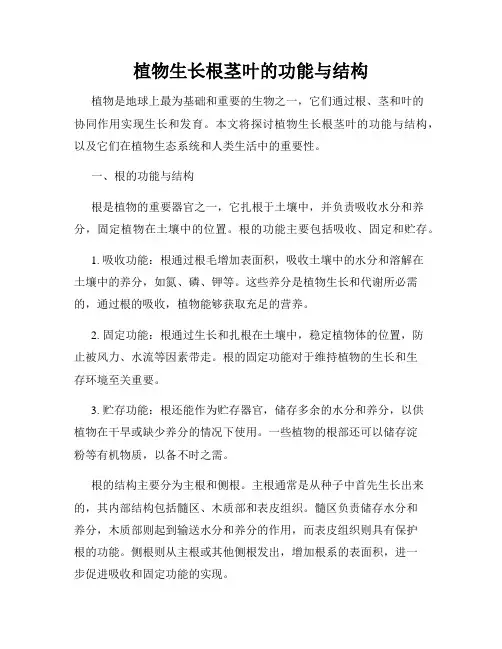 植物生长根茎叶的功能与结构