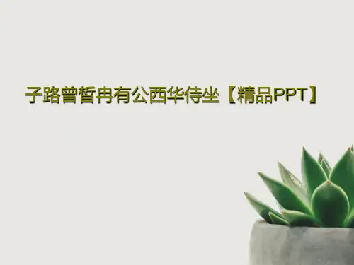 子路曾皙冉有公西华侍坐【精品PPT】共20页