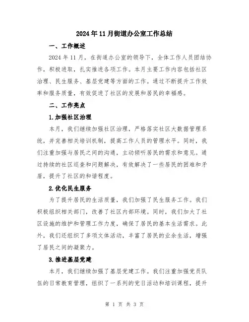 2024年11月街道办公室工作总结