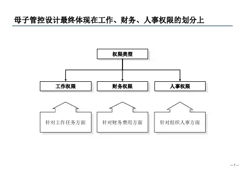 集团管控权限划分模型