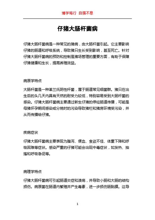 仔猪大肠杆菌病