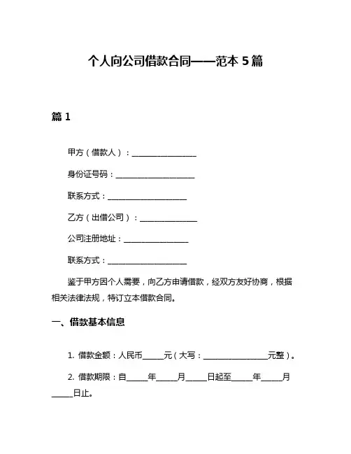 个人向公司借款合同——范本5篇