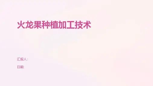 火龙果种植加工技术