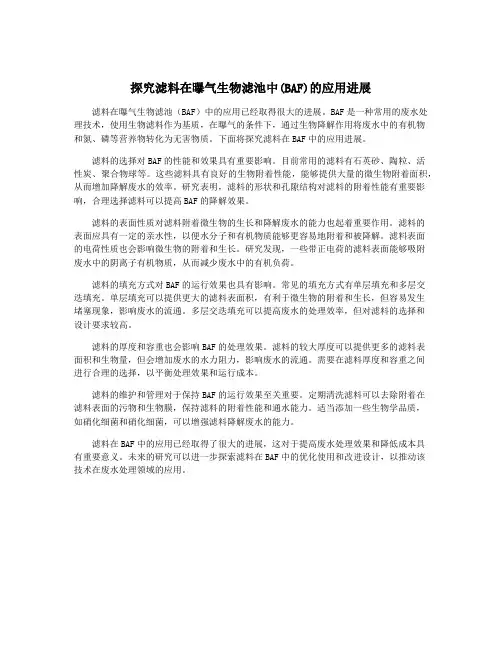 探究滤料在曝气生物滤池中(BAF)的应用进展