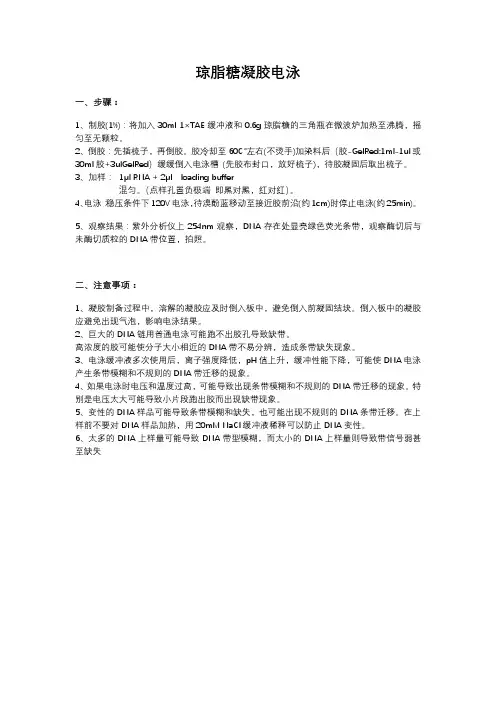 琼脂糖凝胶电泳步骤