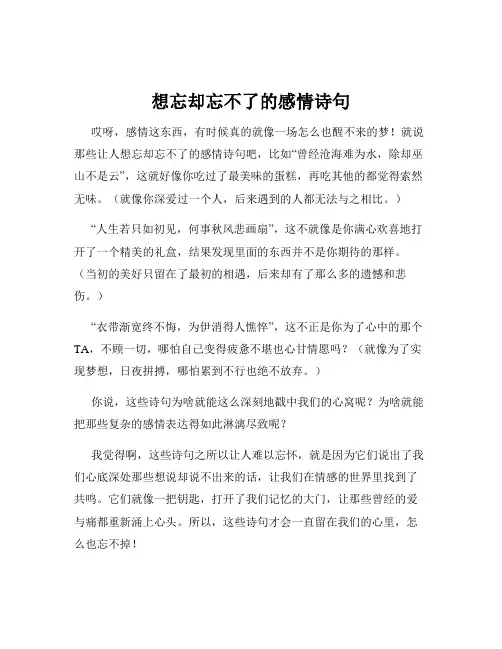想忘却忘不了的感情诗句