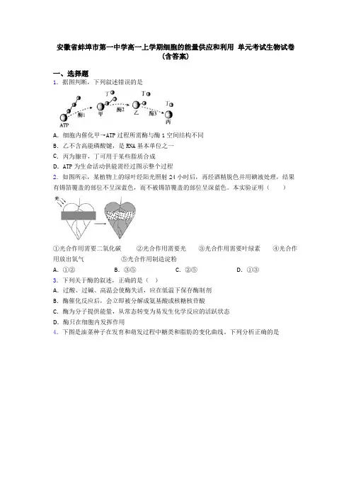 安徽省蚌埠市第一中学高一上学期细胞的能量供应和利用 单元考试生物试卷(含答案)