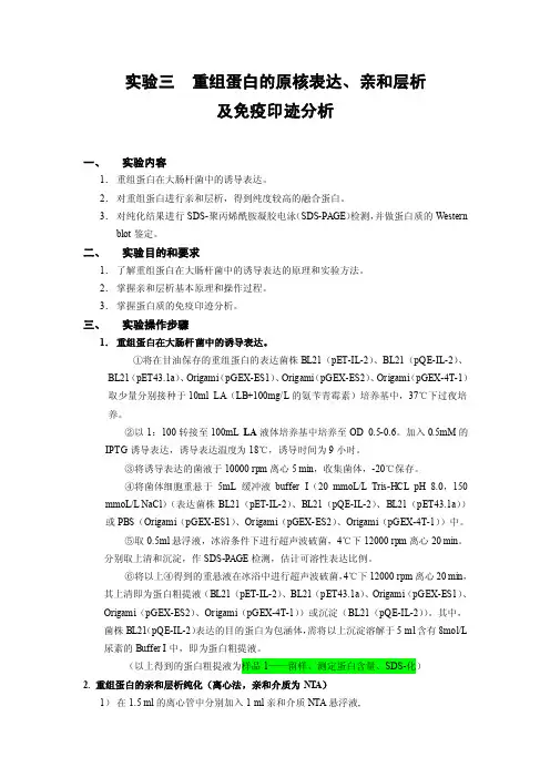 重组蛋白的原核表达