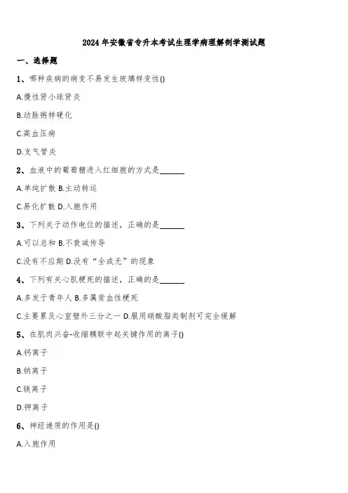 2024年安徽省专升本考试生理学病理解剖学测试题含解析