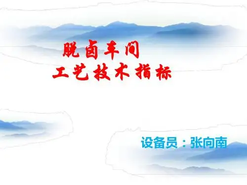 钾肥生产讲义脱卤车间
