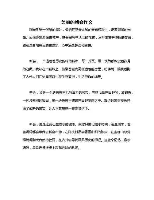 美丽的新会作文