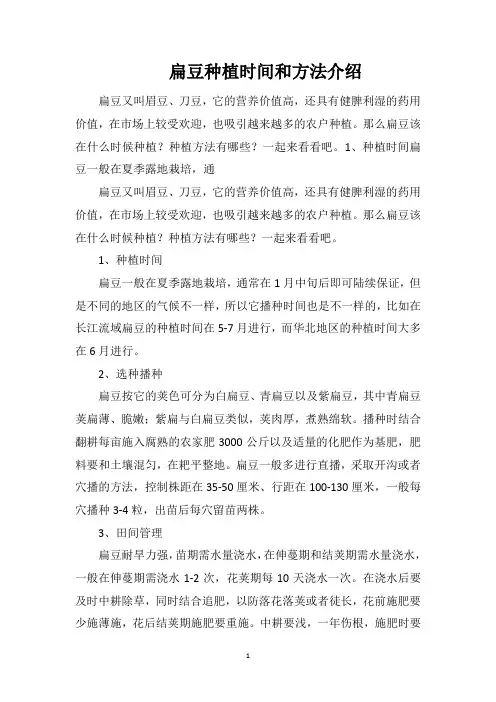 扁豆种植时间和方法介绍