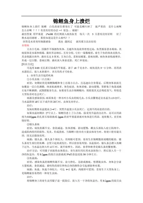 锦鲤鱼身上溃烂