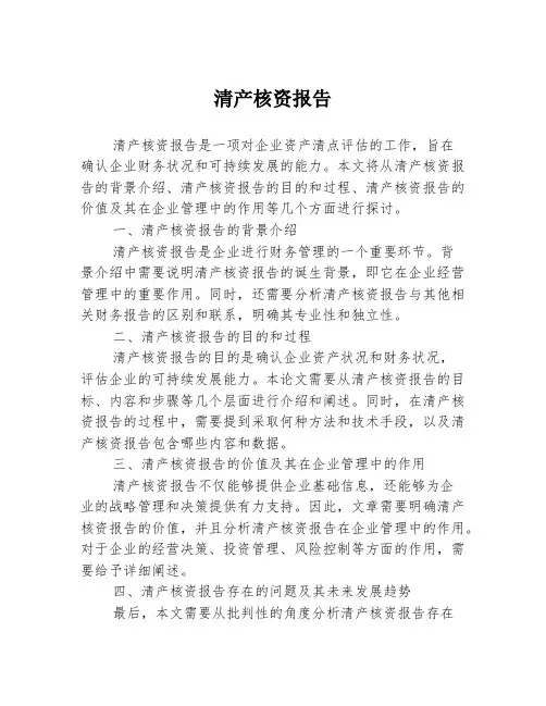 清产核资报告