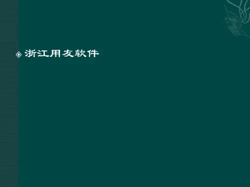 《财务核算体系设置》ppt课件