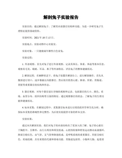 解剖兔子实验报告