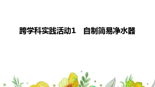 跨学科实践活动1 自制简易净水器