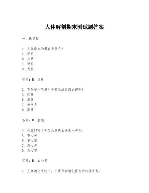 人体解剖期末测试题答案