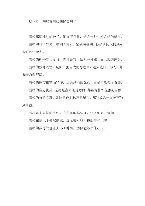 形容雪松的优美句子