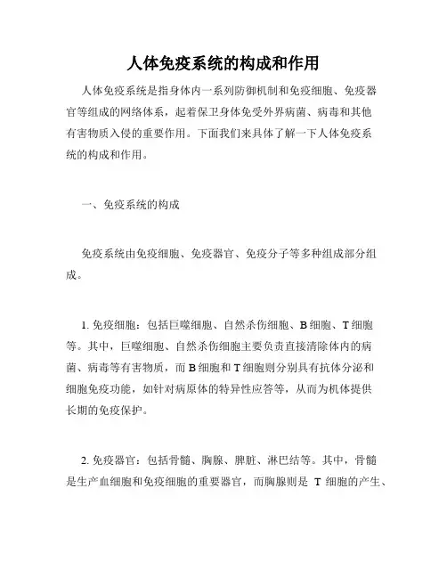 人体免疫系统的构成和作用