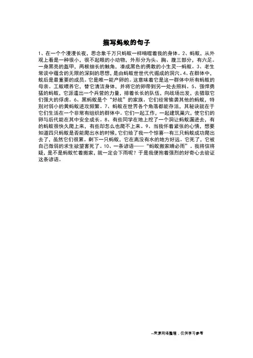 描写蚂蚁的句子_
