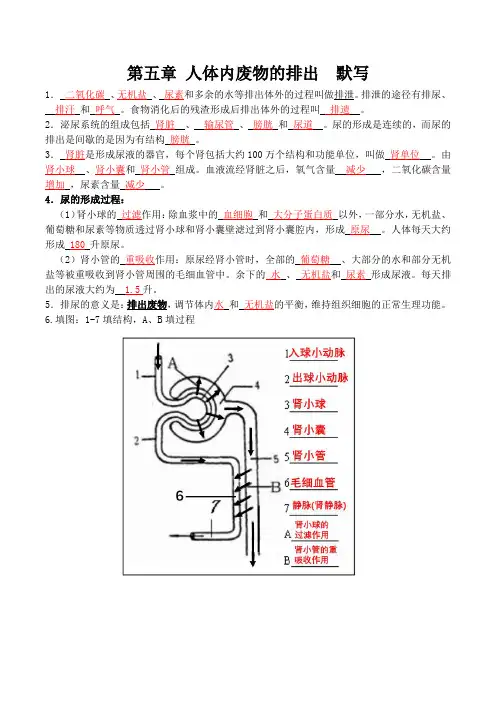 初中生物第五章 人体内废物的排出 默写  答案