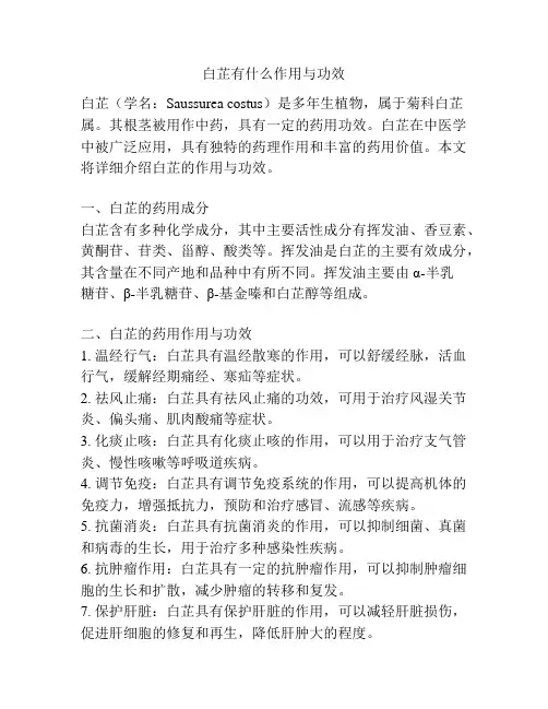 白芷有什么作用与功效