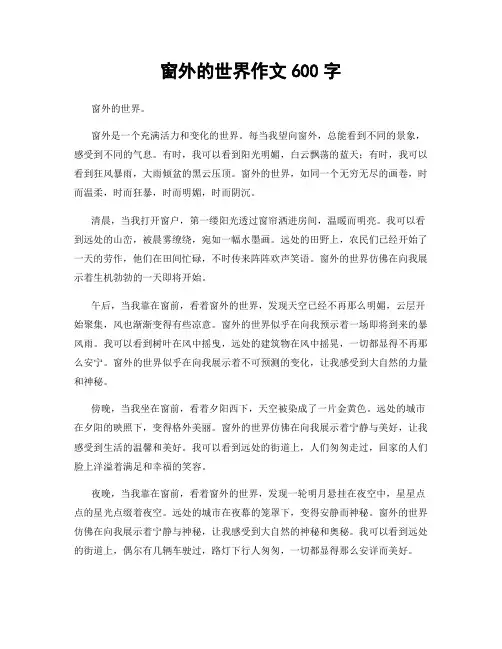 窗外的世界作文600字