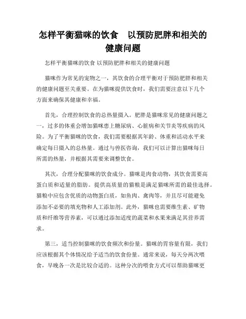 怎样平衡猫咪的饮食    以预防肥胖和相关的健康问题
