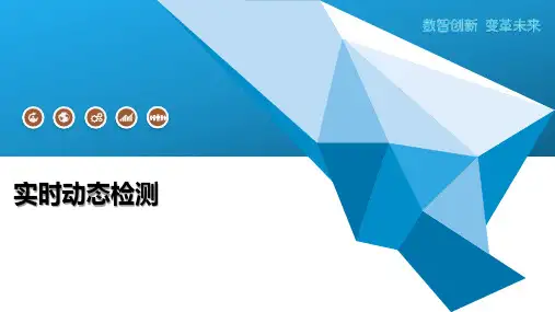 实时动态检测