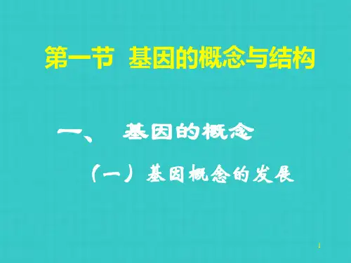 基因和基因组