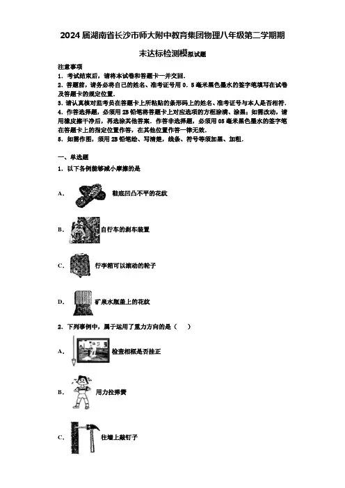 2024届湖南省长沙市师大附中教育集团物理八年级第二学期期末达标检测模拟试题含解析