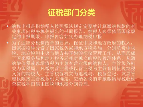 地税纳税申报课件