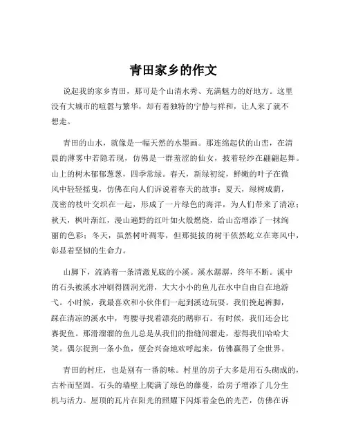 青田家乡的作文