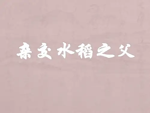 《杂交水稻之父》课件