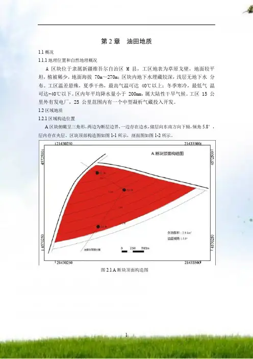 石油工程设计大赛,油藏工程设计必备