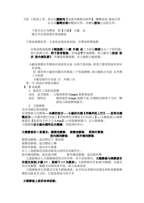 下肢局部解剖学-19