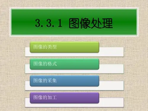 浙教版高中信息技术必修-信息技术基础：3.3  多媒体信息处理(2)