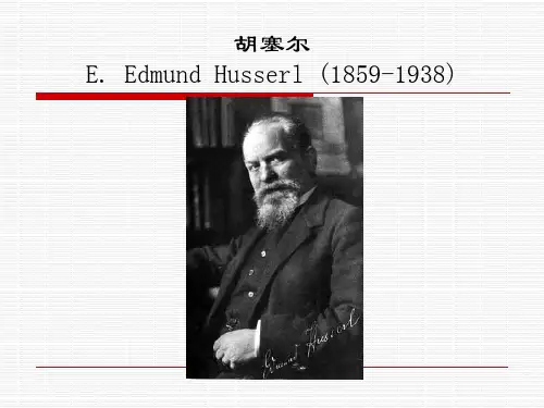 什么是现象学方法
