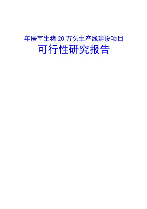 年屠宰生猪20万头生产线建设项目可行性研究报告